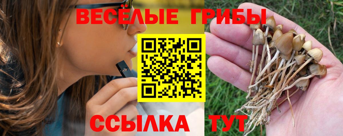 Псилоцибиновые грибы прущие грибы Кострома