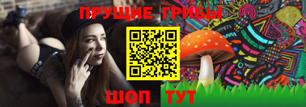 Псилоцибиновые грибы GOLDEN TEACHER  Вход с VPN  Галлюциногенные грибы GOLDEN TEACHER  Кострома 